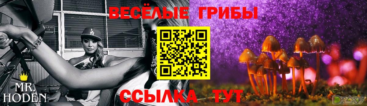 Галлюциногенные грибы Magic Shrooms Чапаевск